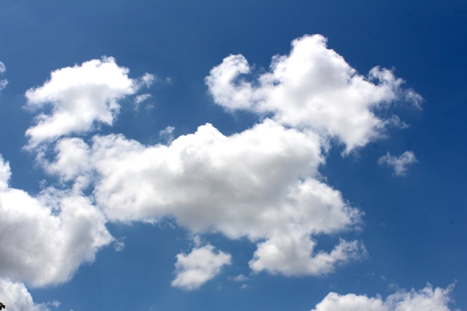 Las soluciones cloud para empresas se disparan en 2016: cada vez más empresas utilizan el pago por uso