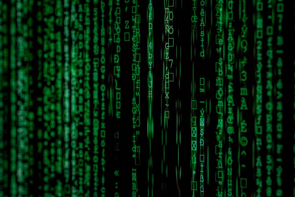 Macrotendencias: cómo influyen las tecnologías de la información en los negocios